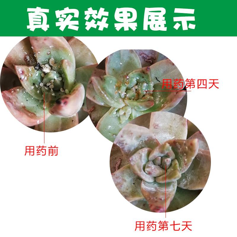 噻嗪酮花卉杀虫剂介壳虫花药多肉蚧壳虫小白虫白粉虱通用植物药剂 - 图1