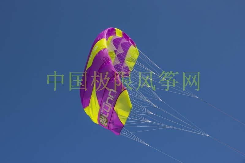 皮特林 微风 UNIQ 四线 皮肤风筝 迷你伞 牵引风筝 单层 - 图3