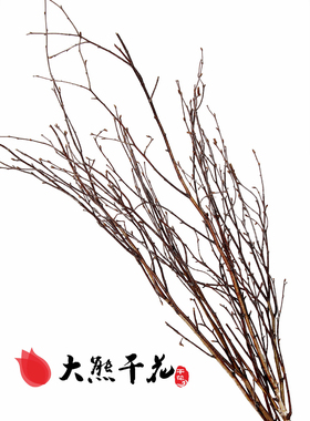 白桦枝摄影道具枯假树枝装饰花