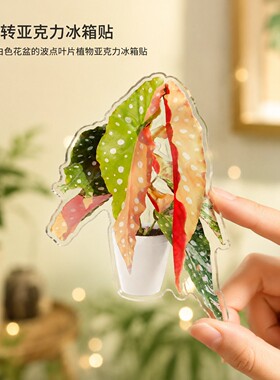 创意热带绿植可旋转冰箱贴