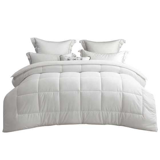 School dormitory apartment down velvet quilt core for all seasons