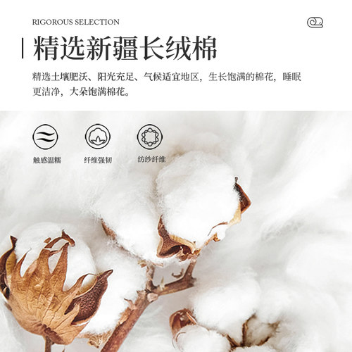 五星级酒店纯棉100S支床品七件套床单床笠款被套民宿布草定制logo - 图2