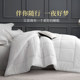 School dormitory apartment down velvet quilt core for all seasons