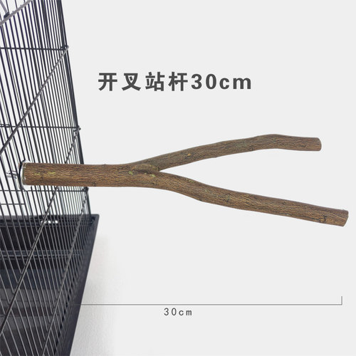 粤迪桔果树木杆鸟站棍桔子木磨爪棒栖杠鹦鹉鸟栖息杆笼内添加站杆 - 图2
