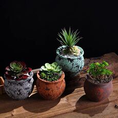 Керамические горшки 多肉花盆 仿古陶瓷花器 透气个性粗陶盆 复古植物盆