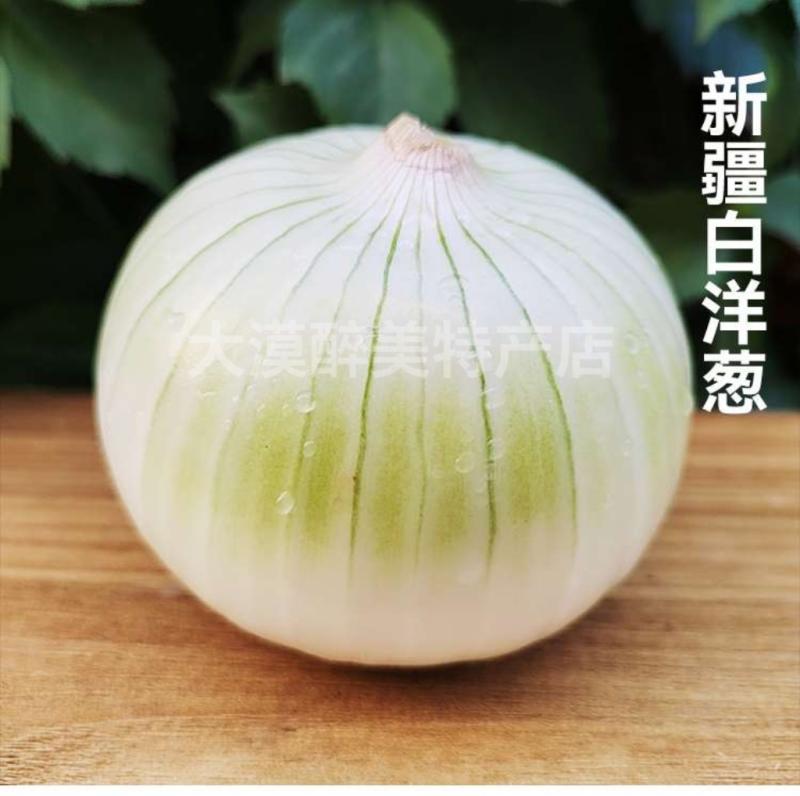 新疆白洋葱白皮牙子黄萝卜胡萝卜组合抓饭食材3斤5斤10斤送辅菜 - 图0