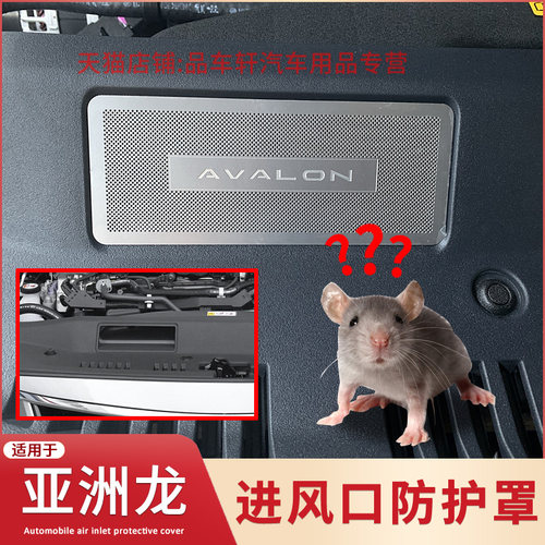 适用于19-22款丰田亚洲龙水箱防虫网机盖进风口防鼠蚊虫杨柳絮网 - 图2