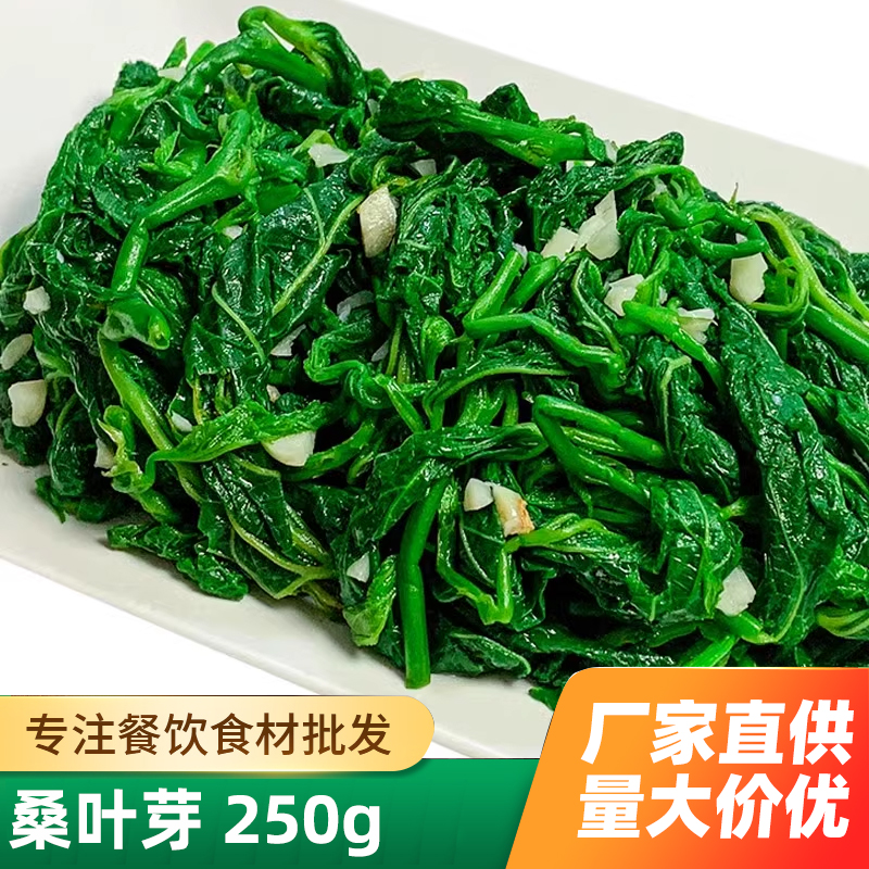 新鲜桑叶苗桑叶芽上汤桑叶菜新鲜食用嫩桑叶尖半成品特色冷冻商用 - 图1