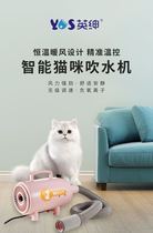British Gentry LB-830C Pet Kitty Special Blow Machine Silent Negative Ion Single Motor Blow Hair Speed Dry smart HOT