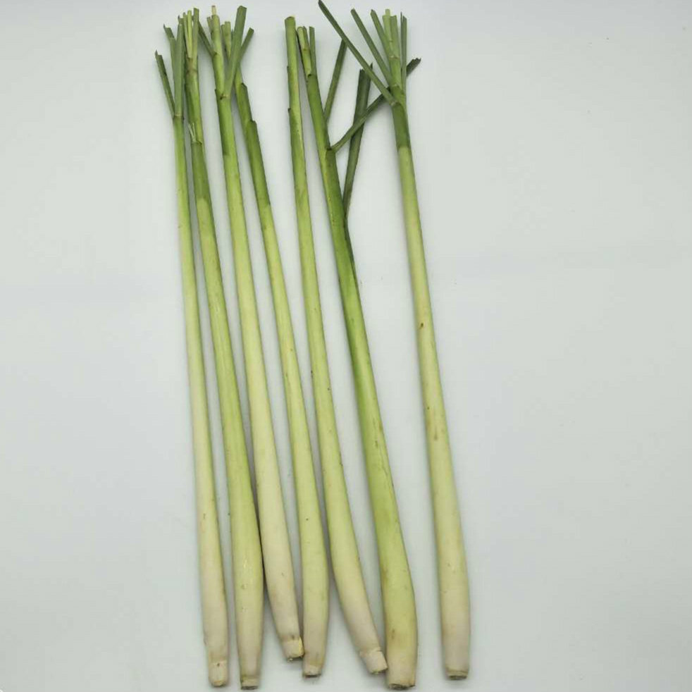 新鲜香茅草 柠檬香茅草烤鱼烤螺泰式冬阴功汤材料蔬菜500g  包邮,淘宝优惠券,粉丝福利购,淘宝优惠卷