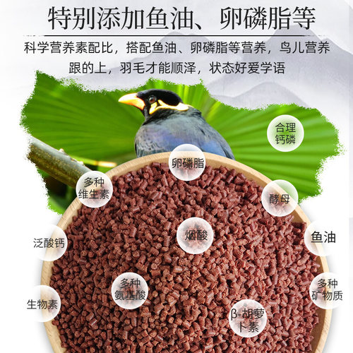 2桶更优惠北京开元牌桶装全价鹩哥鸟食精品鹩哥食八哥喜鹊鸟粮 - 图2