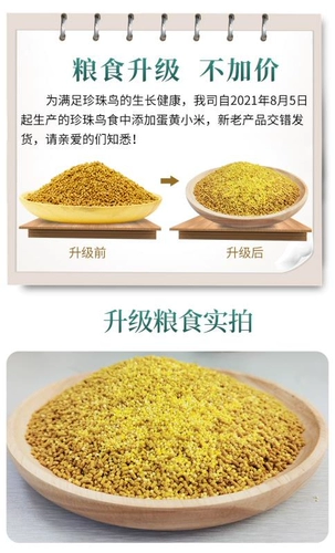 Kaiyuan Brand Full -Price Pearl Bird Bird Eclipse White Pearl Bird Ingredients Jinquing десять сестер без скорлупы без птиц.