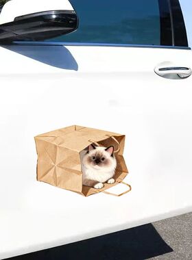 网红新款袋子里的小猫图案自粘贴