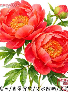 传统牡丹花无背景自粘贴纸室内外