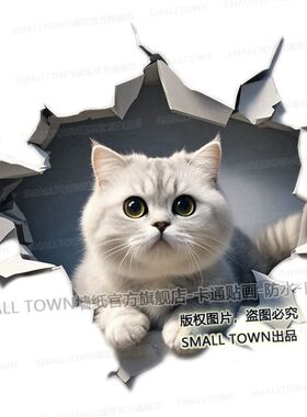新款银渐层猫咪贴画动物图案3d立体效果装饰自粘贴画宠物店贴纸