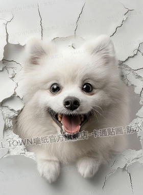 狗狗贴画白色博美犬3D立体效果破墙而出宠物店装饰贴墙贴门贴自粘