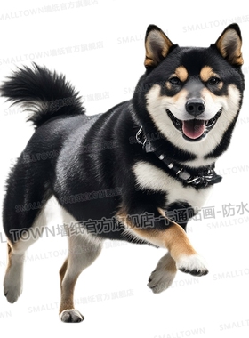 柴犬贴画黑色柴犬可爱狗狗墙贴车贴门贴遮挡划痕马桶冰箱贴画自粘