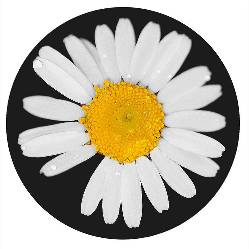 Ins风笑脸太阳花化妆椅子网红潮牌垫 热品库 性价比省钱购