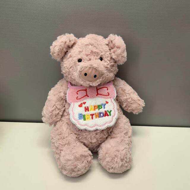 Cute pig plush toy birthday gift