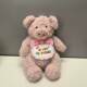 Cute pig plush toy birthday gift