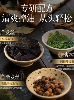 兰亭LANTERN侧柏叶何首乌洗发皂控油蓬松清爽洁净官方正品