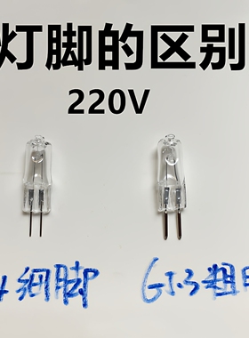 香薰炉熏香灯泡卤钨灯珠5个