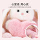 MINISO Premium Tani Rabbit Series-Love Bouquet Cute Doll Doll Gift