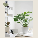 Dolv Dolv Dolvan Green Big Turtle Bamboo Tiannan Starke Nordic Furniture Дом зеленый растительный горшок горшок