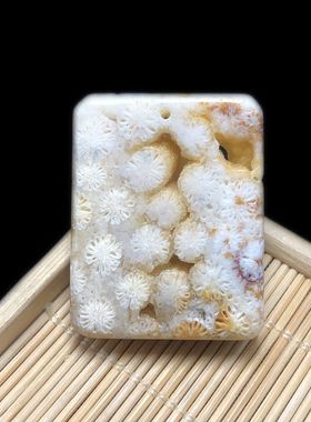 其他男女珊瑚玉骨骼花晶洞共生