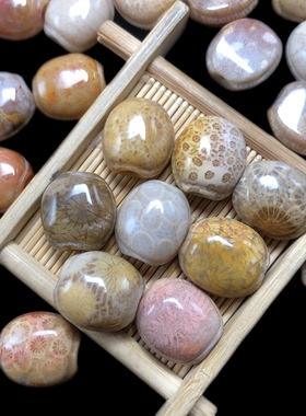 龟壳手链珊瑚玉民族风