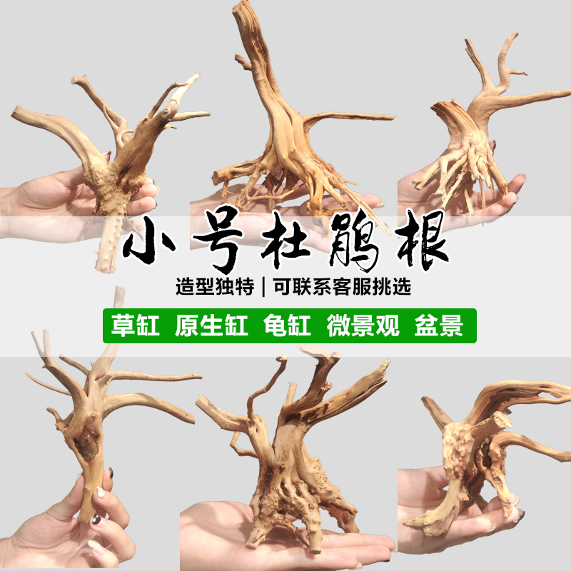 天然杜鹃根栖根紫柚木沉木鱼缸水草缸树枝树根造景沉木一木成景 - 图0