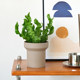 Nordic design ceramic breathable flowerpot