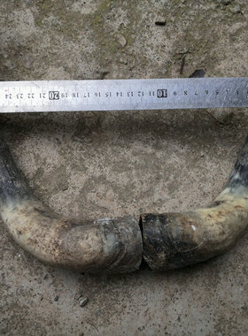 霸气风天然原材料摆件