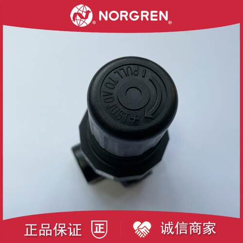 R07-200-RNKG诺冠NORGREN调减压阀100/RNKA/RNEG/RNAG/RNKB/R询价 - 图2