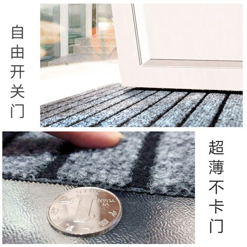 门口地垫进门蹭脚垫室外条纹地毯家用超薄入门入户门垫室内可裁剪 - 图0
