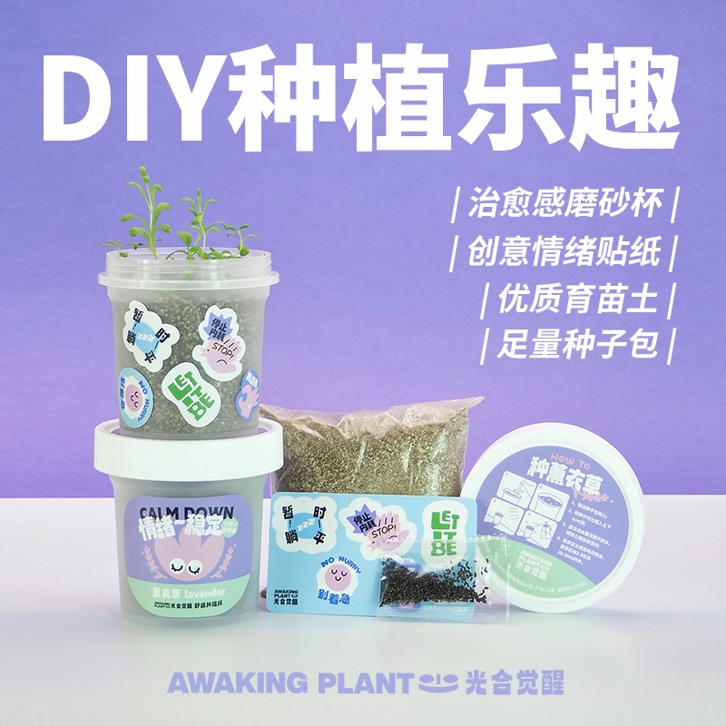 光合觉醒薰衣草解压室内办公桌面种植小盆栽创意植物节日生日礼物