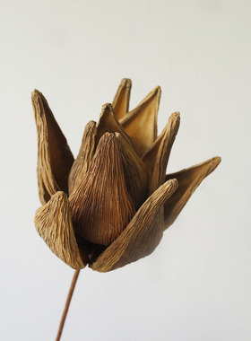 新中式诧寂风手工油画莲干花