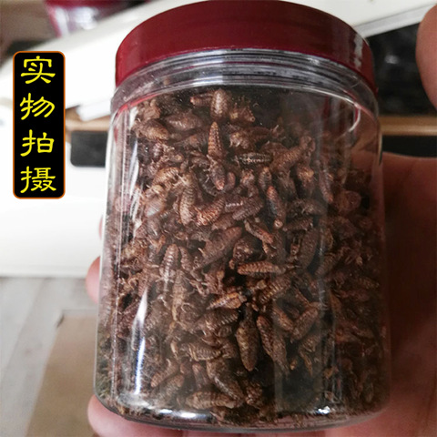 同仁堂金沙牛中药材野生蚁狮金砂牛蚂岭虫广西地牯牛沙牛虫10g克 - 图1