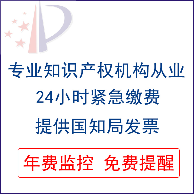 专利代缴费代交外观实用发明专利年费/只需一个专利号/免费缴官费 - 图0