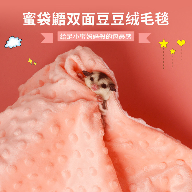 蜜袋鼯盘蜜巾豆豆绒毛毯花枝鼠仓鼠保暖毯子松鼠浴巾奶蜜上手毛巾,淘宝优惠券,粉丝福利购,淘宝优惠卷