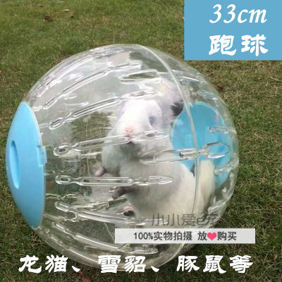 rabbit running ball