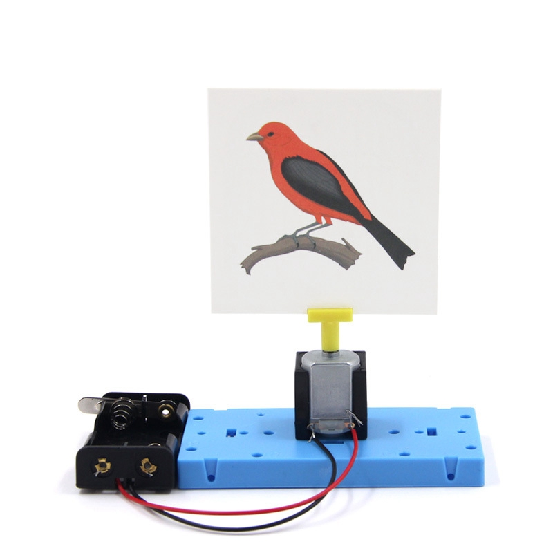 笼中鸟儿童科学物理实验益智组装玩具科技手工diy材料小制作发明 - 图3