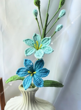 成品钩织毛线花火星兰成品花束搭配手捧花创意礼品闺蜜朋友礼物
