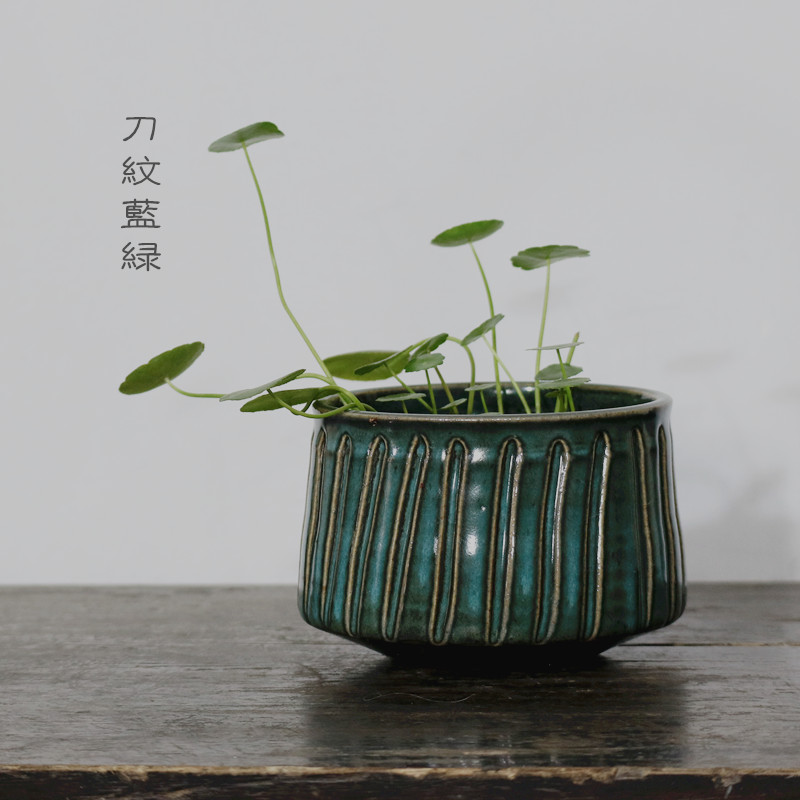 泰安园艺中心：让城市更添一抹绿意