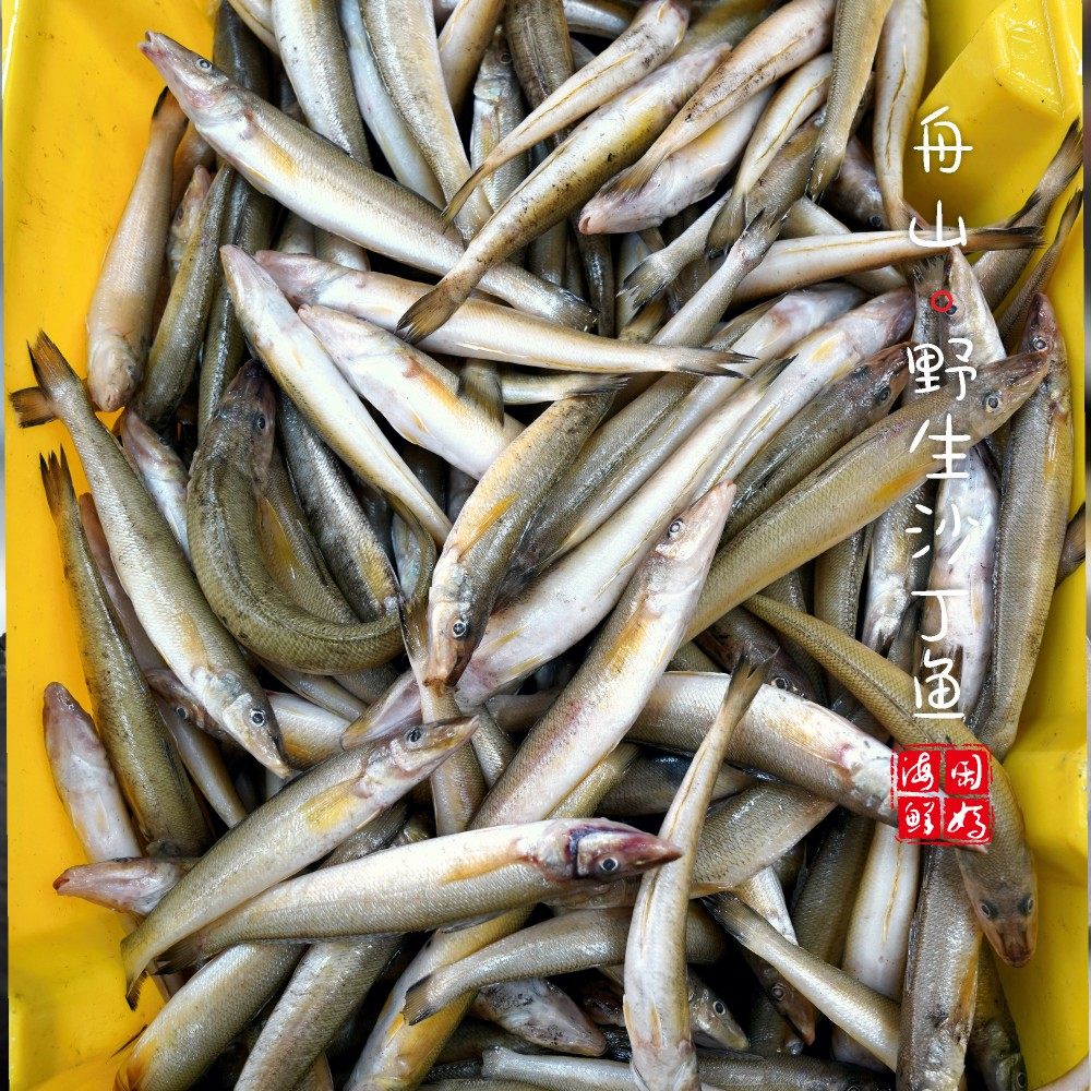【闹妈海鲜】[热气]舟山黄沙丁鱼 各种规格 按斤卖,淘宝优惠券,粉丝福利购,淘宝优惠卷