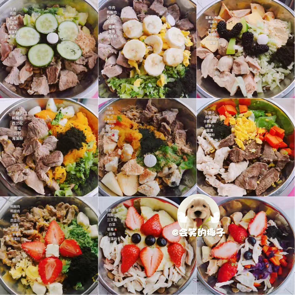 会笑的椰子如小意狗狗猫狗莓藻粉海藻粉 美毛,淘宝优惠券,粉丝福利购,淘宝优惠卷