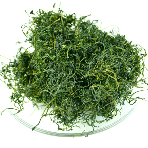 平利野生七叶苦绞股蓝龙须茶五叶甘兴强正品新茶胶股蓝250g袋新强 - 图3