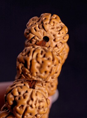 树王爆肉小金刚菩提子手串男士核桃原籽文玩佛珠单圈学生盘玩