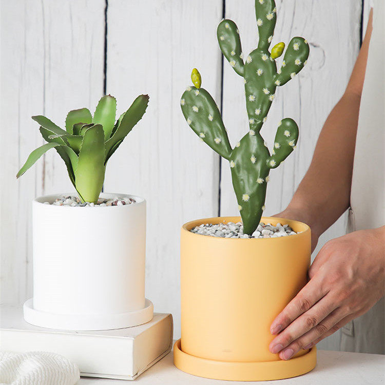 莫兰迪陶土直筒圆柱形北欧多彩花盆室内多肉鲜花绿植简约盆带托盘,淘宝优惠券,粉丝福利购,淘宝优惠卷