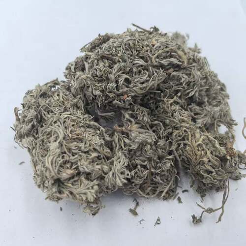 绵茵陈 拍2件包邮 白蒿 茵陈蒿 草茵陈因陈 茵陈草 中药材 500g克 - 图2